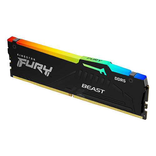 Kingston Fury Beast RGB ( 16GB KF560C40BBA-16   32GB KF560C40BBA-32 ) DDR5 6000MTs CL40 Desktop Memory For Cheap