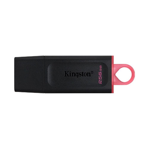 Kingston DataTraveler Exodia 256GB USB3.2 DTX 256GB USB Flash Drive Sale